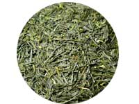 宇治茶 初摘煎茶 120g罐裝［宇治茶獨特的高雅香氣，柔和的煎茶］| 宇治茶 宇治煎茶 葉 120g 罐裝 禮品 綠茶 高級 日本茶 專賣店  京都 老店 森半 禮品 禮物 茶 煎茶 返鄉 返鄉伴手禮 伴手禮 中元節 歲末 年終  敬老 京都 茶日本必買 | 日本樂天熱銷 2