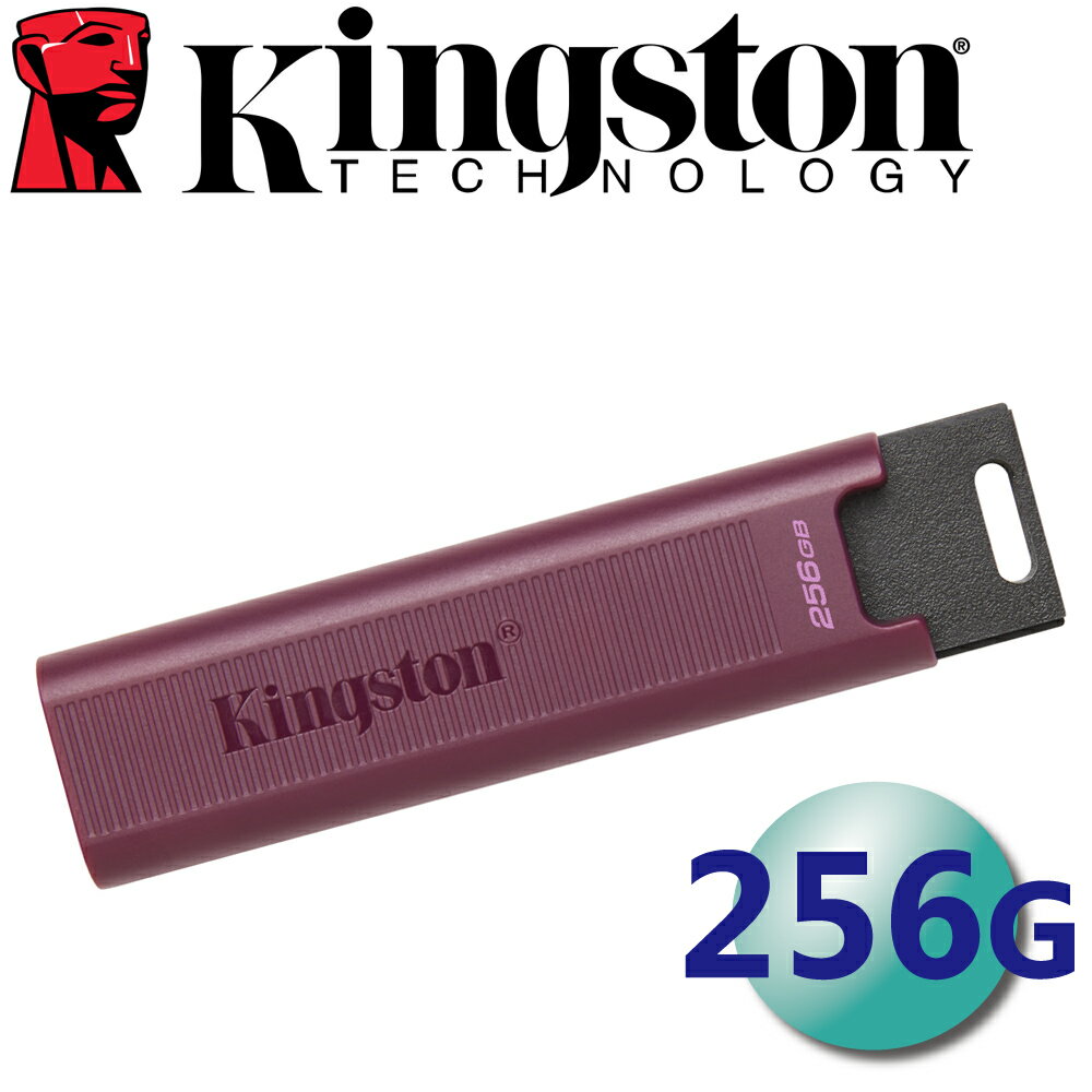 Kingston 金士頓 256GB DTMAXA USB-A USB3.2 隨身碟 256G