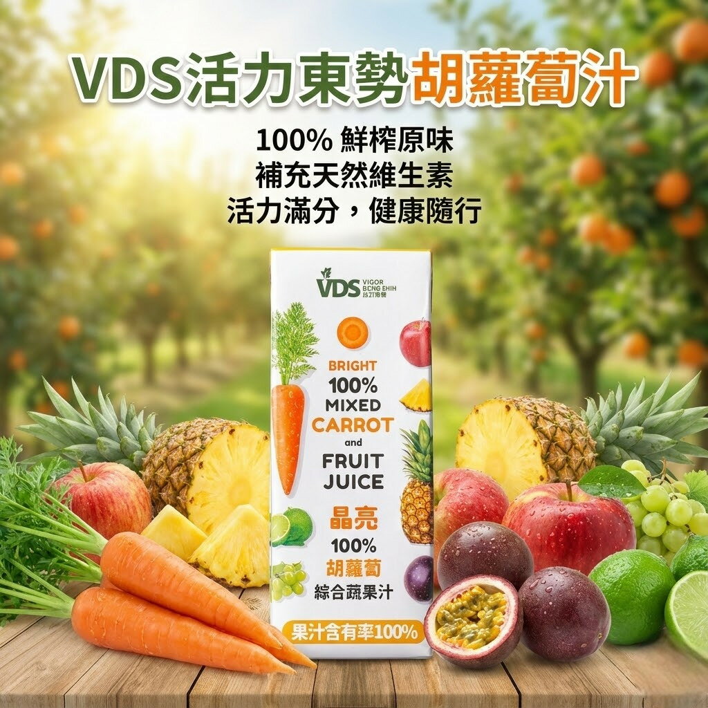 【KKM營養屋】VDS 活力東勢 胡蘿蔔綜合蔬果汁 200mlx24瓶  利樂包 小包裝 胡蘿蔔汁 口袋包