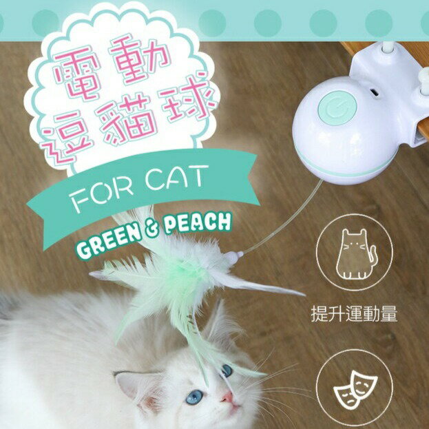 🐱貓咪玩具🐱 夾式電動逗貓球 LED不規則雷射燈  USB充電 附備用逗貓羽毛 30分鐘自動關機
