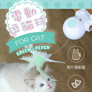 🐱貓咪玩具🐱 夾式電動逗貓球 LED不規則雷射燈 USB充電 附備用逗貓羽毛 30分鐘自動關機