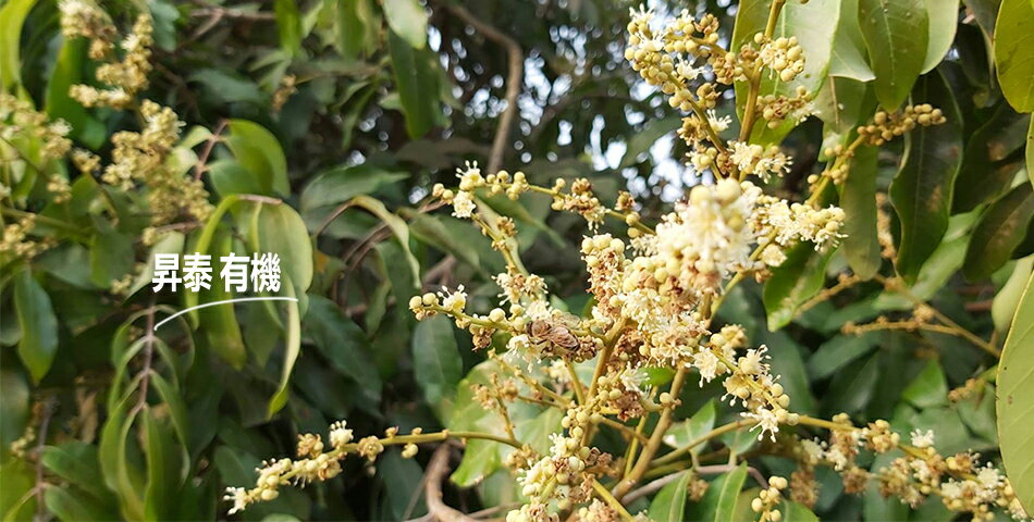 農地最青 - 限時優惠好康折扣
