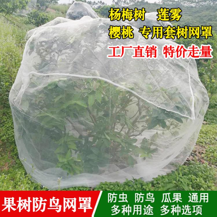 楊梅網罩防鳥防蟲網加密果樹蓮霧套樹罩防果蠅網大棚專用防鳥紗網