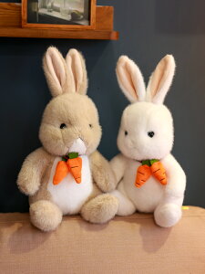 可愛小兔子公仔胡蘿卜兔兔毛絨玩具小白兔布娃娃機女孩子生日禮物