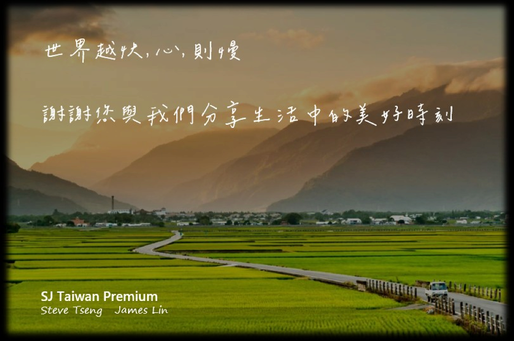 【SJ TW Premium】佳德鳳梨酥 多盒入 免排隊 台灣金賞獎 糕點 點心 禮品 台灣特產 6