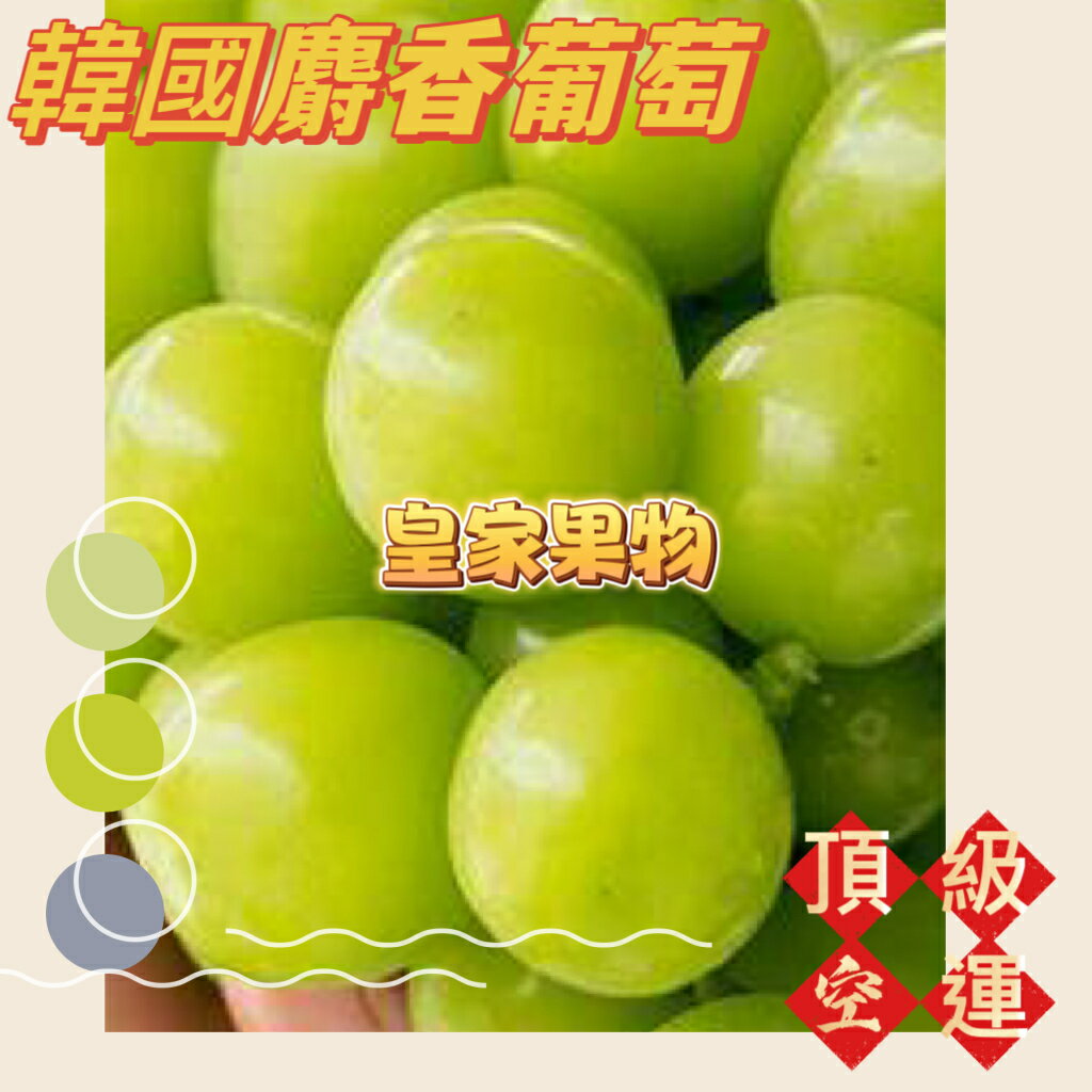 韓國頂級空運麝香葡萄大顆大串整箱買4~5串【皇家果物】低溫免運