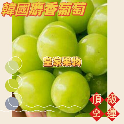 韓國頂級空運麝香葡萄大顆大串整箱買4~5串【皇家果物】低溫免運 0