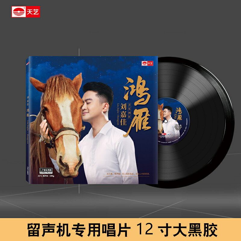 劉嘉佳《鴻雁》頭版限量LP密紋黑膠大碟唱片