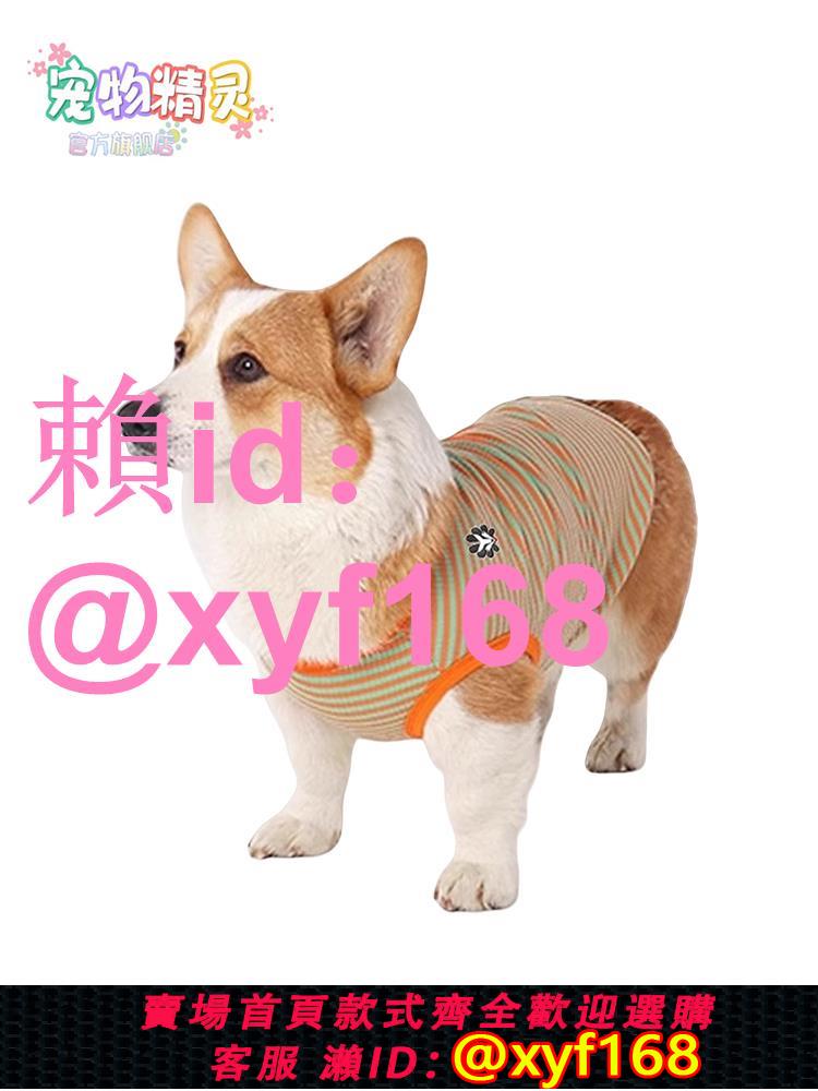 皇家精靈新款寵物衣服夏季薄款中小型犬柴犬狗狗背心彈力透氣可愛