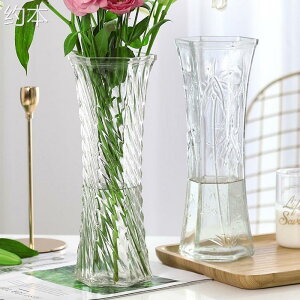 玻璃花瓶【兩件套】特大號透明水養富貴竹花瓶客廳家用插花盆擺件