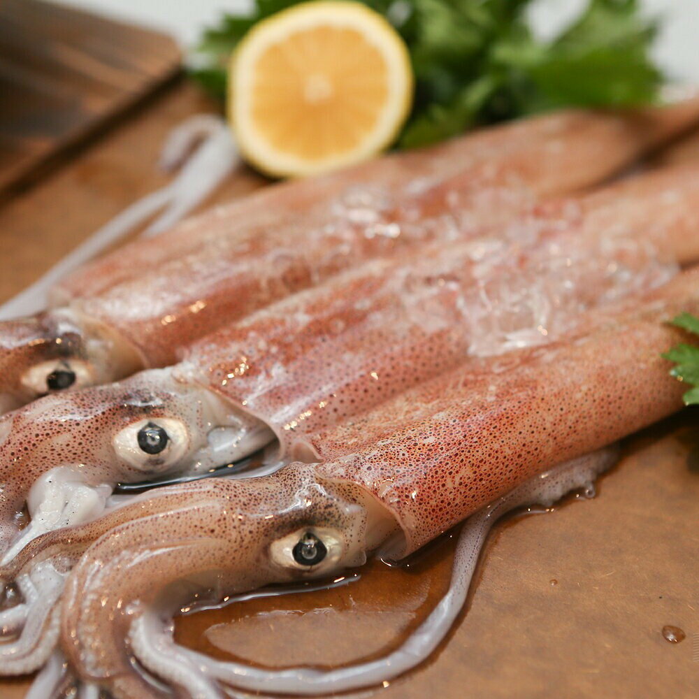 【有魚生鮮】雙12限定 嚴選鍋物免運套組 贈保溫袋  網紅推薦