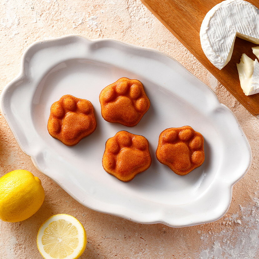 【預購】neko chef 檸檬起司費南雪 無花果 葡萄 蔓越莓 起司 東京車站限定 日本伴手禮 禮盒