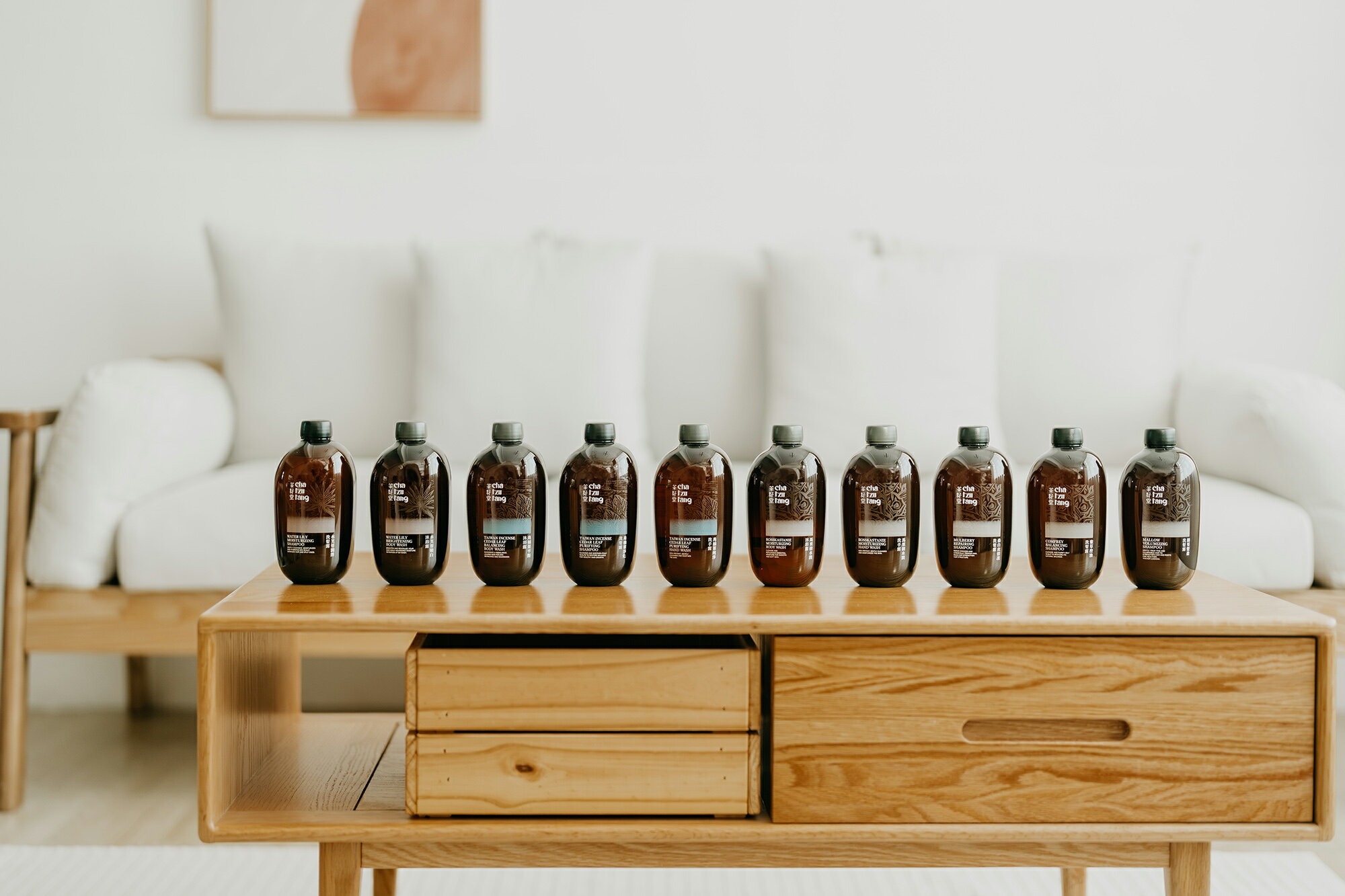 【茶籽堂】肖楠葉淨化洗髮露500ml 1