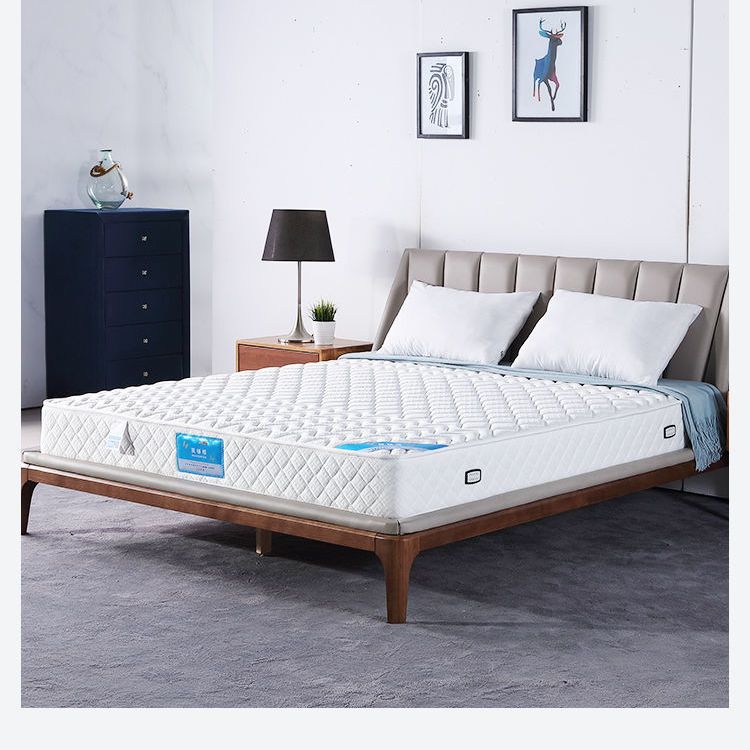 優樂悅~席夢思床墊經濟型出租屋床墊軟墊加厚床墊20cm 超厚定制尺寸 任意