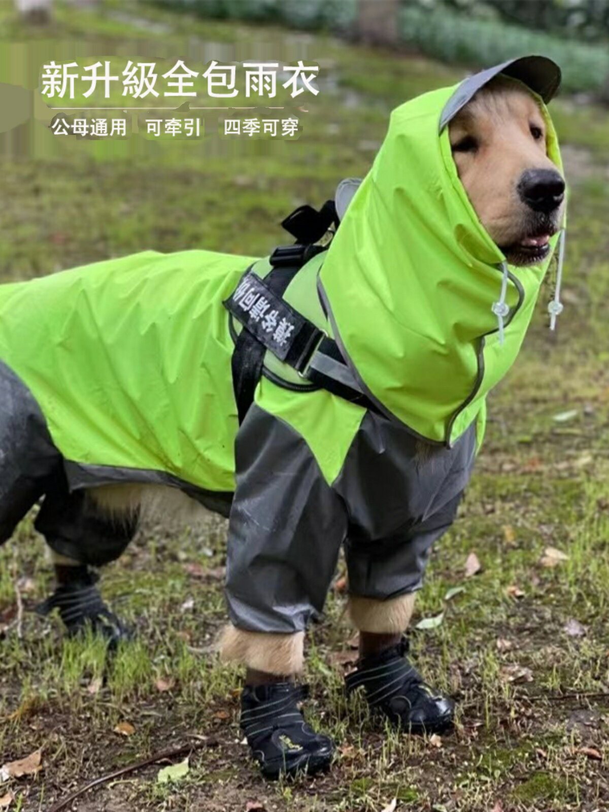 狗狗雨衣中大型犬四腳全包金毛薩摩阿拉斯加防水沖鋒衣寵物雨披