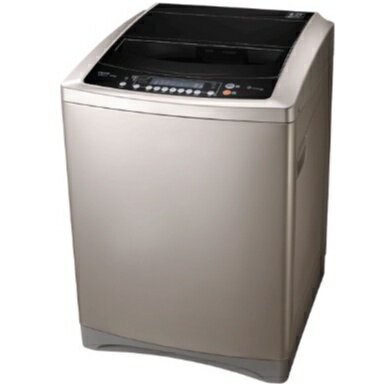 【折300】✨TECO/東元✨ 16公斤DD直立式變頻洗衣機 W1601XG ★僅竹苗地區含安裝定位