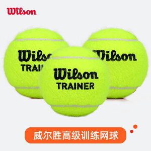 Wilson威爾勝訓練網球練習球耐磨耐打威爾遜無壓比賽網球 T1312