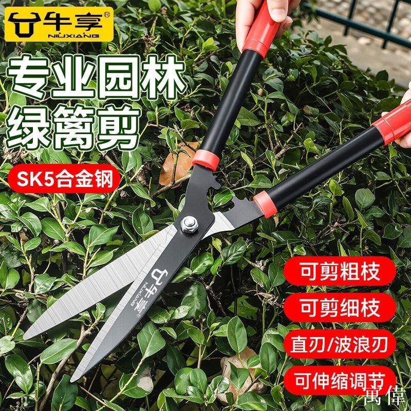園藝剪 綠籬剪 籬笆剪 園林花剪 修枝剪 大型園藝剪 強力修剪 樹枝草坪剪 園藝修枝剪修園林剪枝工具修剪樹枝剪刀綠化草坪