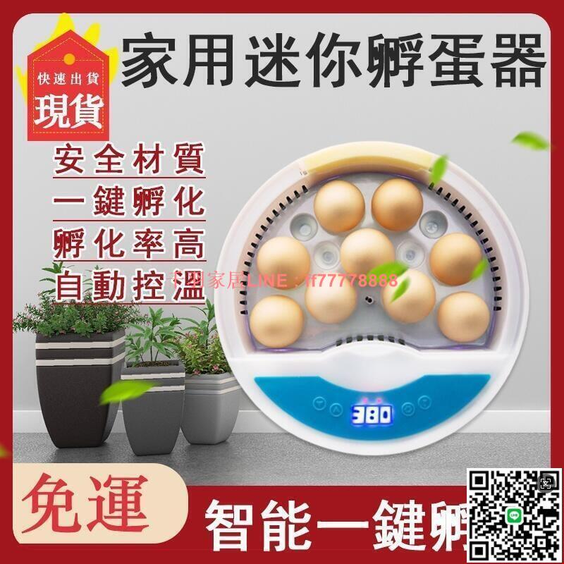 【千羽家居】現貨 孵蛋機 孵化器 迷你小雞孵化器 雞鴨鵝鴿子孵化器 全自動智慧小雞孵化器 9枚家用款孵蛋器 雞蛋孵化箱