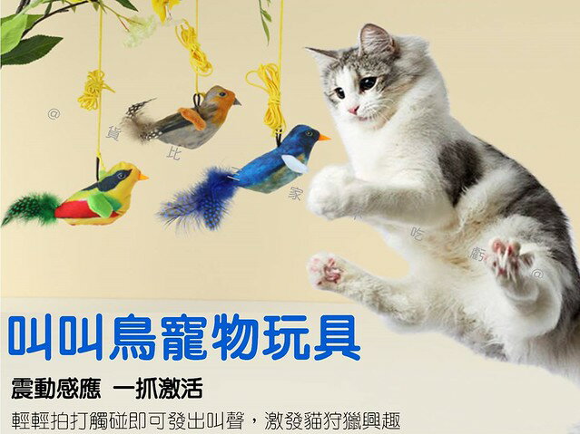 叫叫鳥寵物玩具 模擬發聲小鳥玩具 耐抓咬寵物用品 寵物無聊小玩具 獵物 幼貓 不死鳥毛孩玩具 懶人逗貓 模擬羽毛 啃咬玩