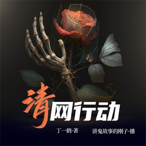 【有聲書】清网行动 0