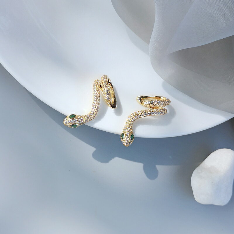 設計感小眾品牌蛇形耳環女歐美夸張時尚個性創意耳飾耳掛純銀耳釘1入