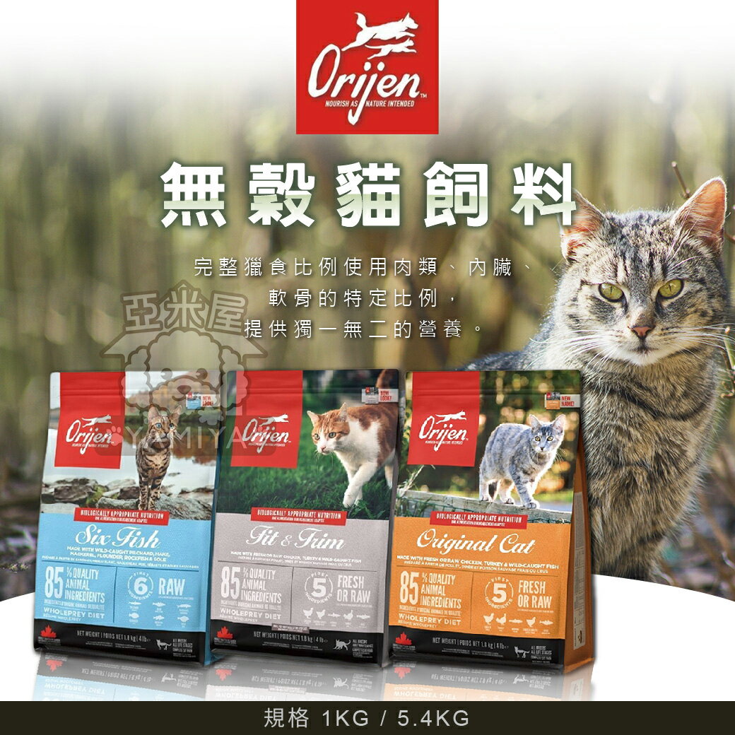 Orijen 全齡貓 野牧鮮雞 500g分裝試吃包 挑嘴貓配方《亞米屋Yamiya》