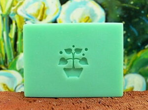 BA006植物皂章(訂製 手工藝用品 皂用印章 手工皂訂購需一周時間)