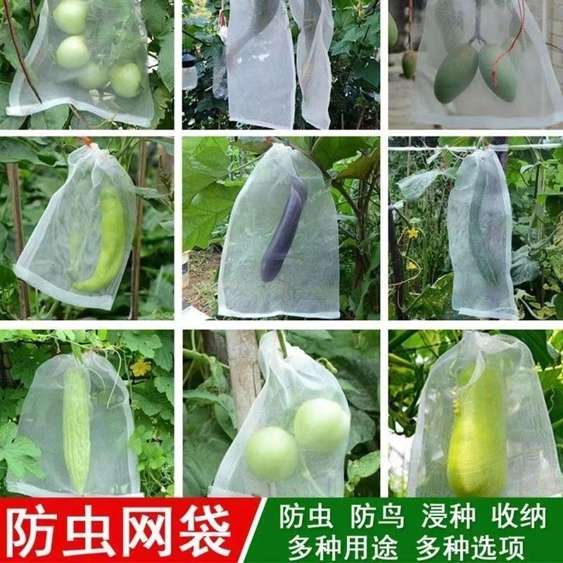 套果袋尼龍網袋紗網袋袋子防鳥網防蟲水果防蟲網袋草莓透氣專用袋