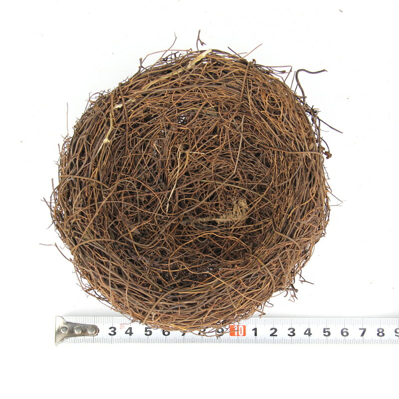 仿真鳥窩 復活節藤編鳥巢小鳥蛋仿真復活節裝飾品軟裝道具 8