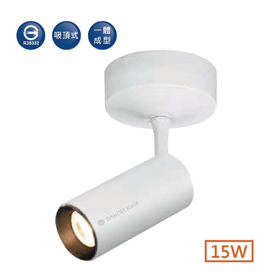 舞光 15W邱位元吸頂燈 黑殼 白殼 LED-CCP15W【高雄永興照明】