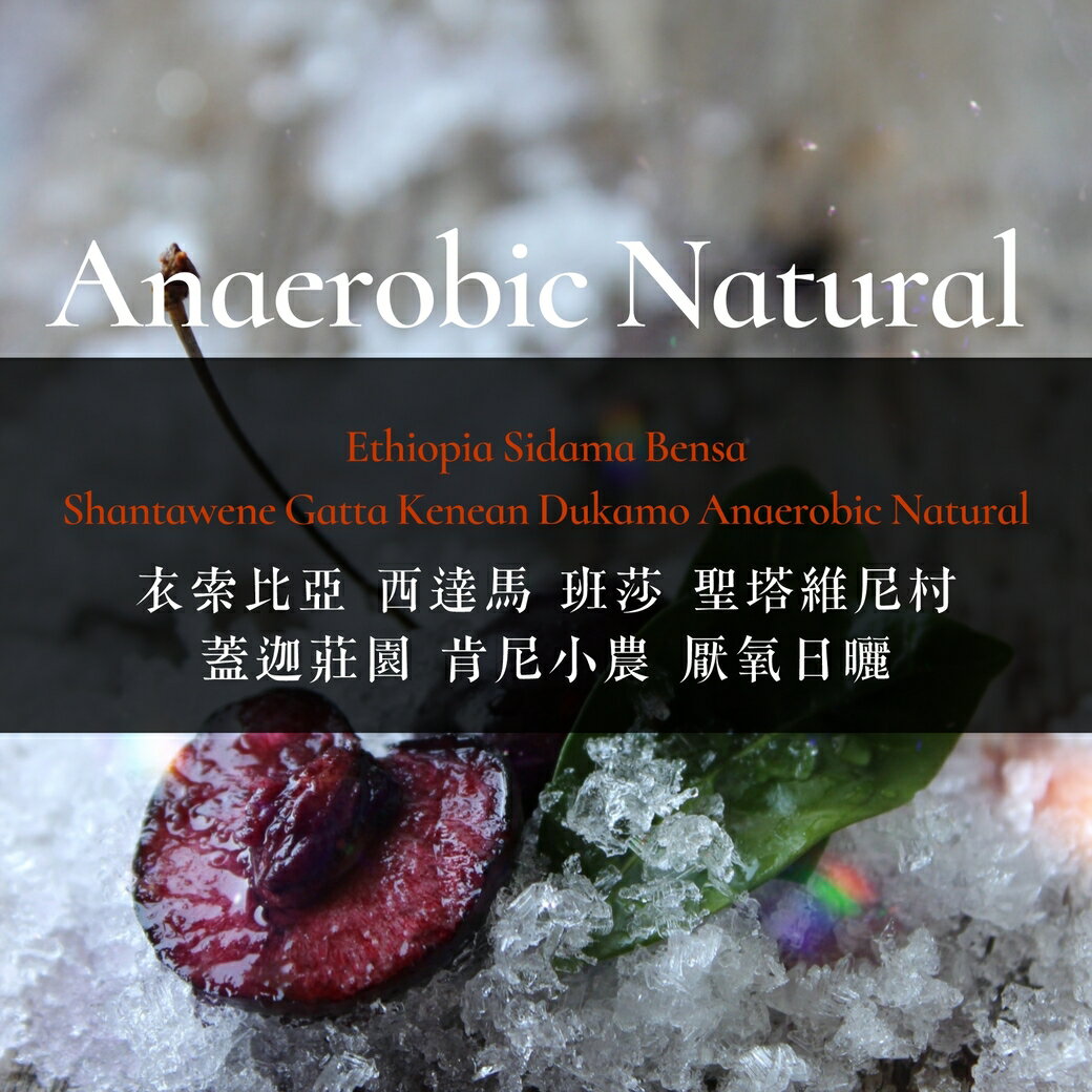 淺烘焙︱衣索比亞 西達馬 班莎 聖塔維尼村 蓋迦莊園 肯尼小農 厭氧日曬 ﹙半磅裝／227g﹚ | 浪館手工豆