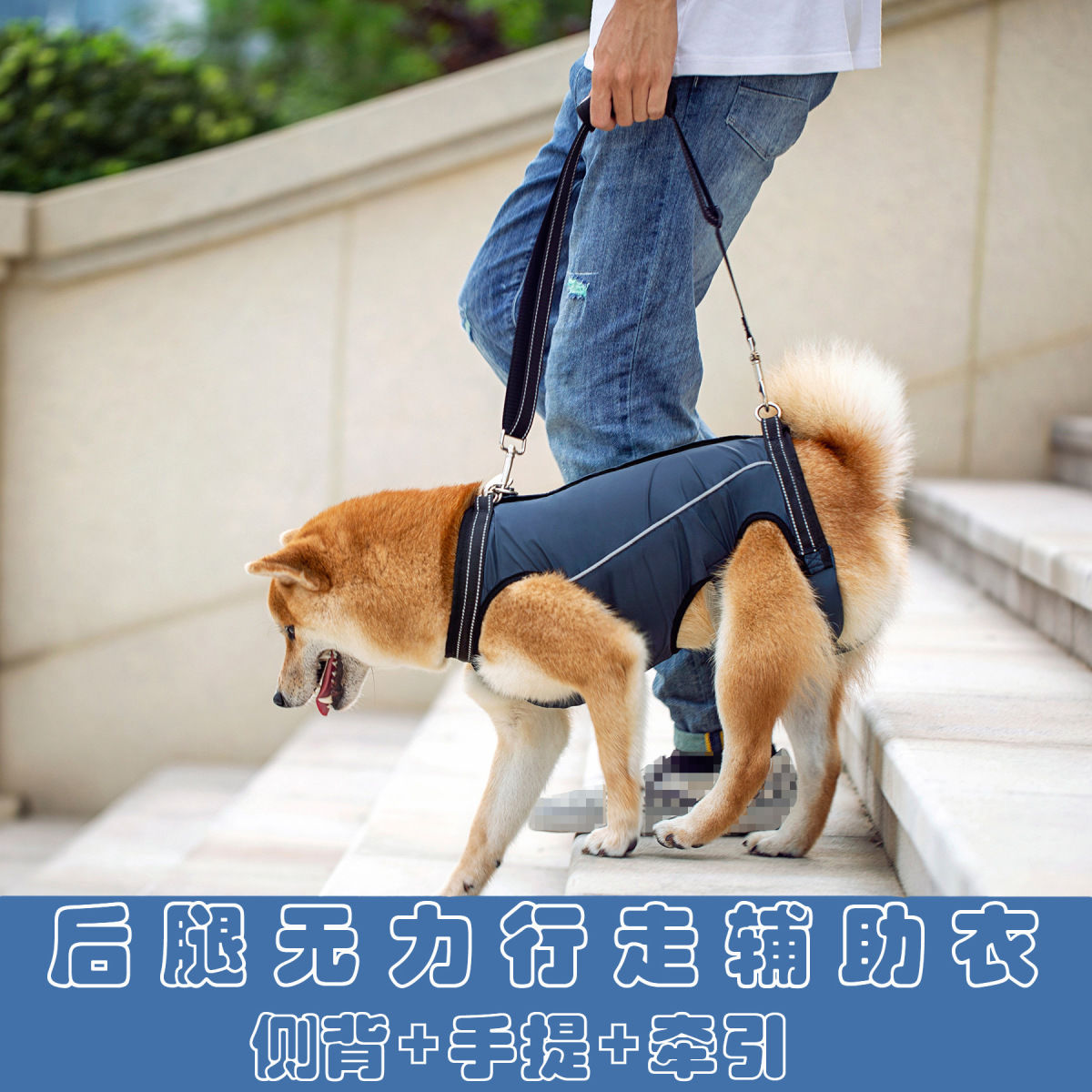 免運 可開票 寵物輔助服高齡殘疾犬行走障礙輔助帶老狗頭腿無力輔助帶廠家直銷---快速出貨