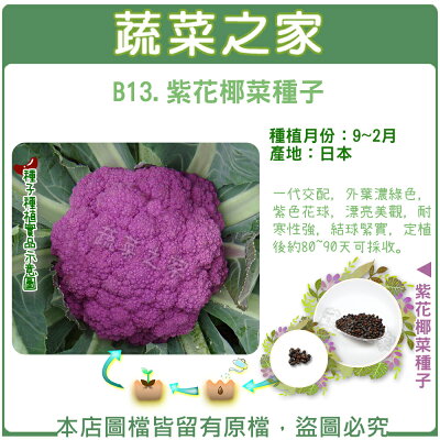 B 結球類及花菜類種子 蔬菜之家 Rakuten樂天市場 B 結球類及花菜類種子 蔬菜之家 Rakuten樂天市場