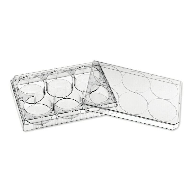 《MDHC》細胞培養盤 Cell Culture Plate