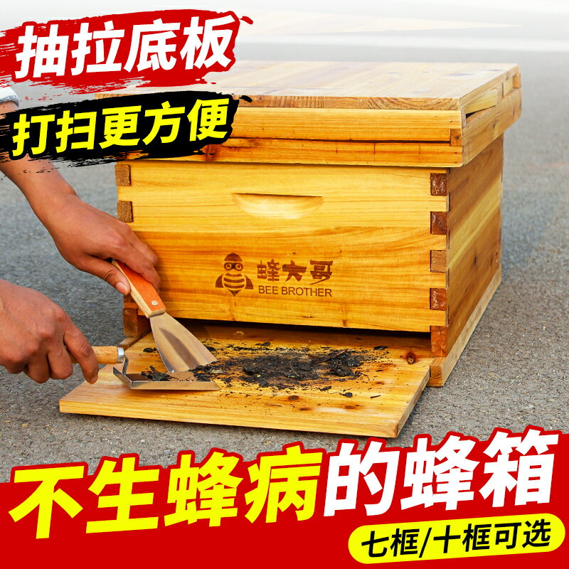 蜂大哥活底蜂箱中蜂全套十框七框標準杉木板煮蠟蜂桶養蜜蜂箱批發