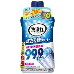 日本製 愛詩庭 雞仔牌 洗衣機 洗衣槽 清潔劑洗槽劑 清潔用品 去污除菌消臭550g 日本進口正版 909780
