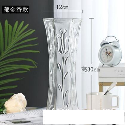 玻璃花瓶透明水養富貴竹百合花瓶擺件客廳插花干花北歐家用特大號 名購居家