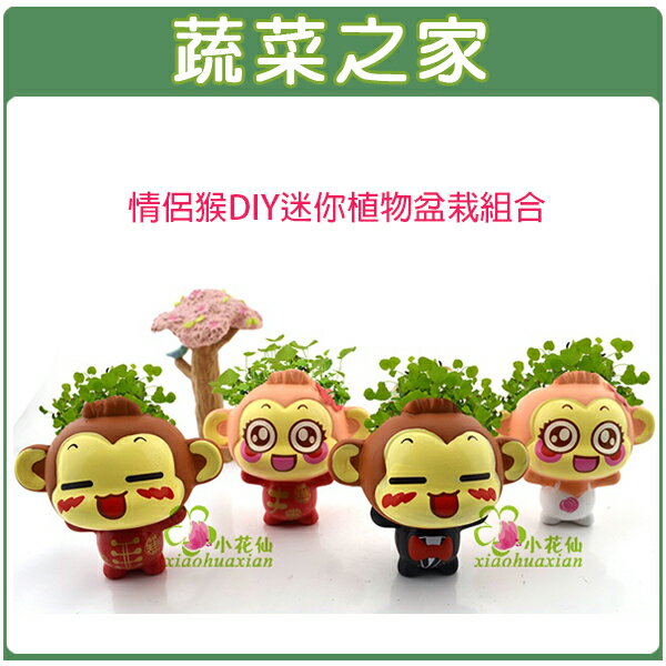 【蔬菜之家004-H21】情侶猴DIY迷你植物盆栽組合