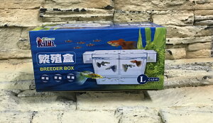 【西高地水族坊】鐳力多功能繁殖盒 產卵盒/飼育箱Breeder Box(L)(新型附上蓋、吸盤)
