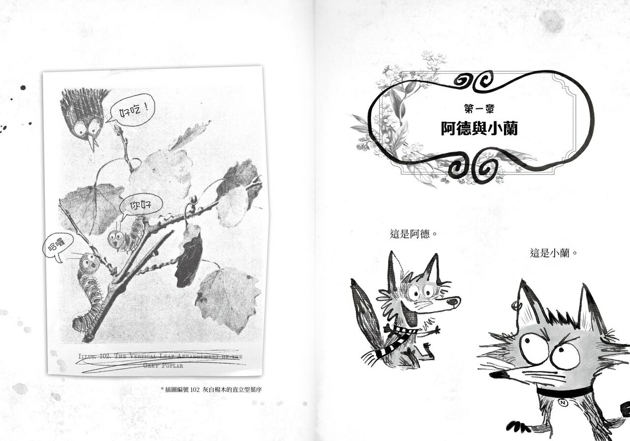 【讀書共和國】歡迎光臨瘋狂森林1 新來的狐狸姐弟 4