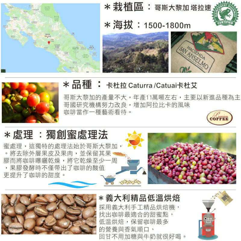 哥斯大黎加國寶濾掛咖啡 Costa Rica Tournon Tarrazu | DALLYN世界嚴選莊園 ★滿299元超取免運 , 滿1500元店家宅配免運★ 5
