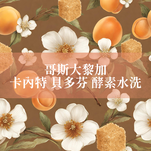 【咖啡匙 咖啡豆】哥斯大黎加 卡內特 貝多芬 酵素水洗 120克/包（約1/4磅）