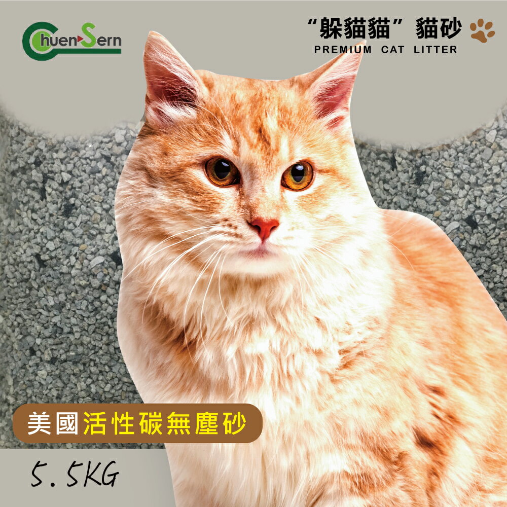 躲貓貓 美國活性碳無塵貓砂-5.5kg【居家生活便利購】