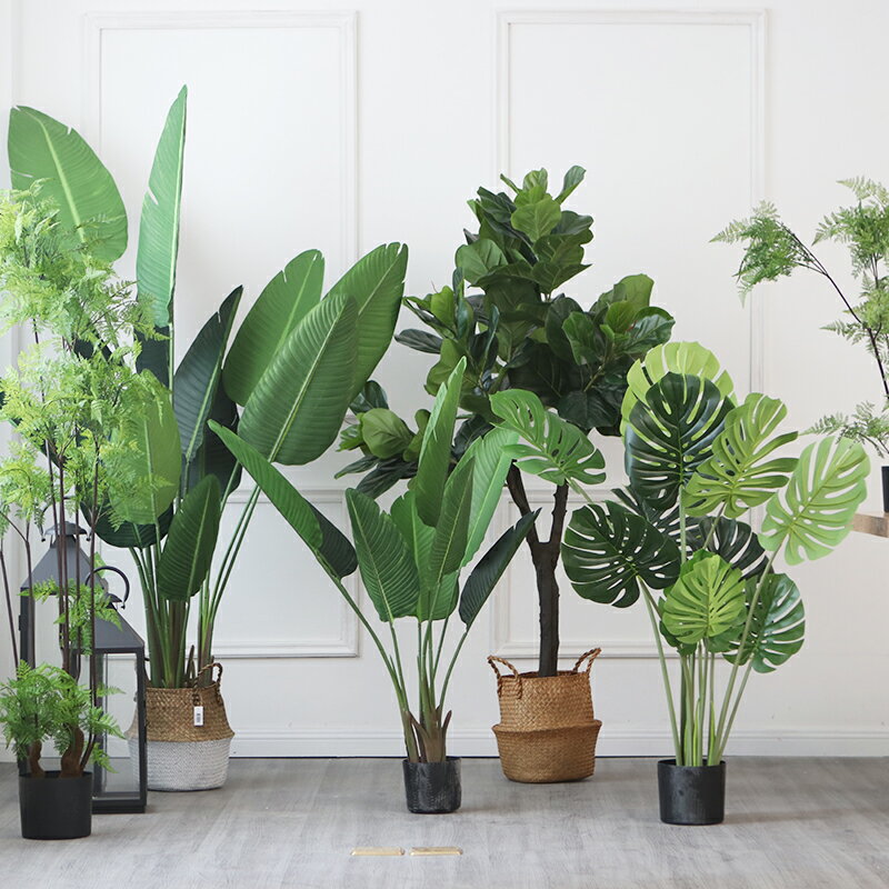 1盆栽擺件客廳大型仿真植物美人蕉龜背樹室內綠植北歐ins裝飾盆景