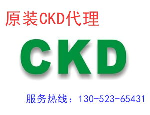 CKD喜開理氣缸維修包SSD2-25K-W1 SSD2-32K-W1 SSD2-80K-W1