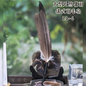 極稀有！大型天然鷹羽儀式羽毛扇23-6 ~適合在各種神聖儀式中或能量療癒使用 儀式扇 羽毛扇 儀式 風元素 聖哲曼