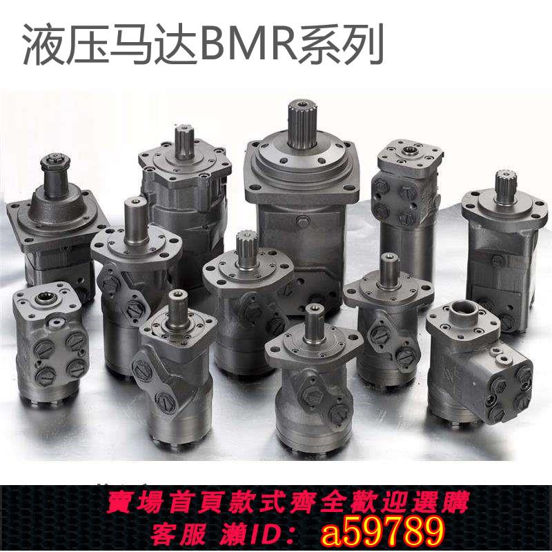 【台灣公司 可打統編】擺線液壓馬達/油壓馬達BMR50 63 80 100 125 160 200 250 315 400