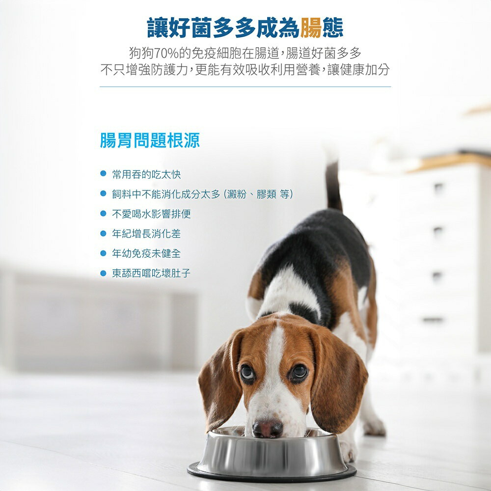 ＵＴＯ｜ 木入森 犬寶變不臭  狗狗益生菌 專業獸醫推薦 2