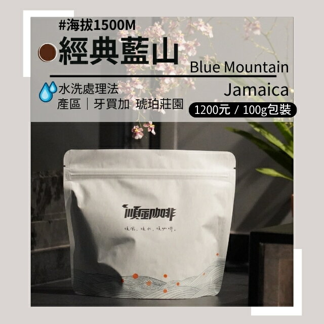 【順風咖啡】 咖啡豆｜單品咖啡豆｜牙買加 經典藍山 (精品咖啡/高海拔/中深焙/新鮮烘焙/100g)